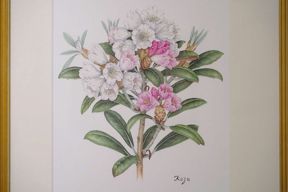 花の絵の作品の写真