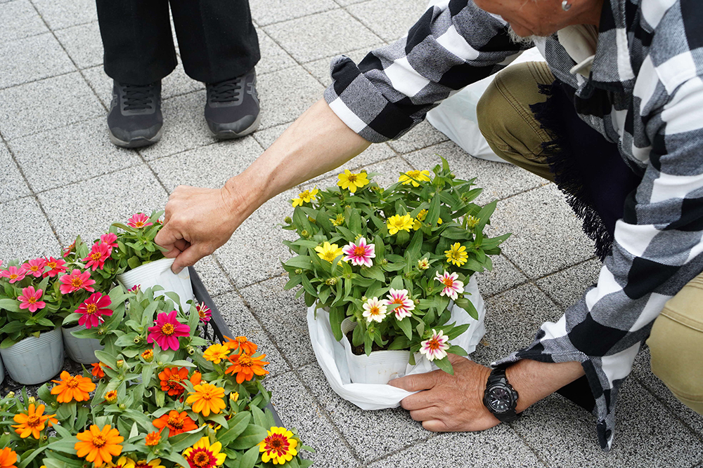 鉢植えを選んでいる画像