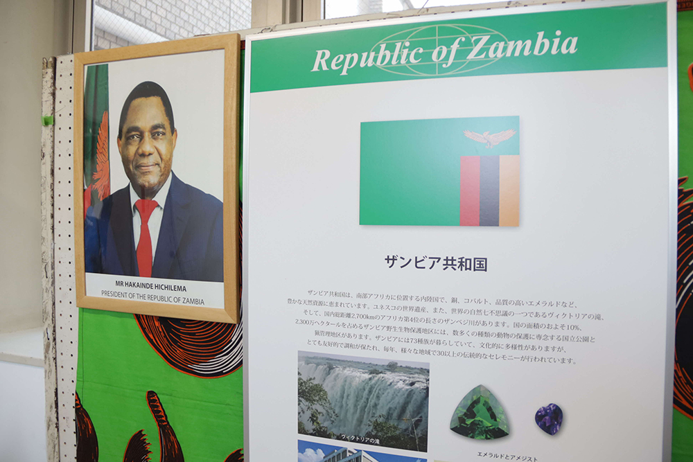 ザンビアの大統領とザンビアの概要のパネルの画像