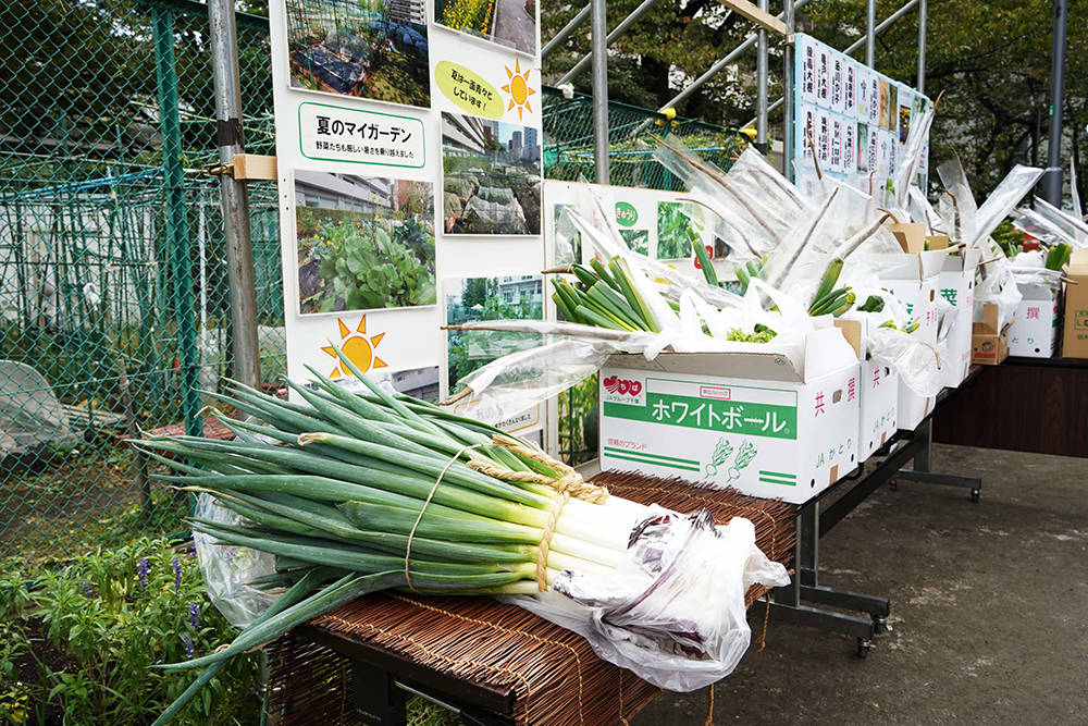 並んでいる野菜の画像