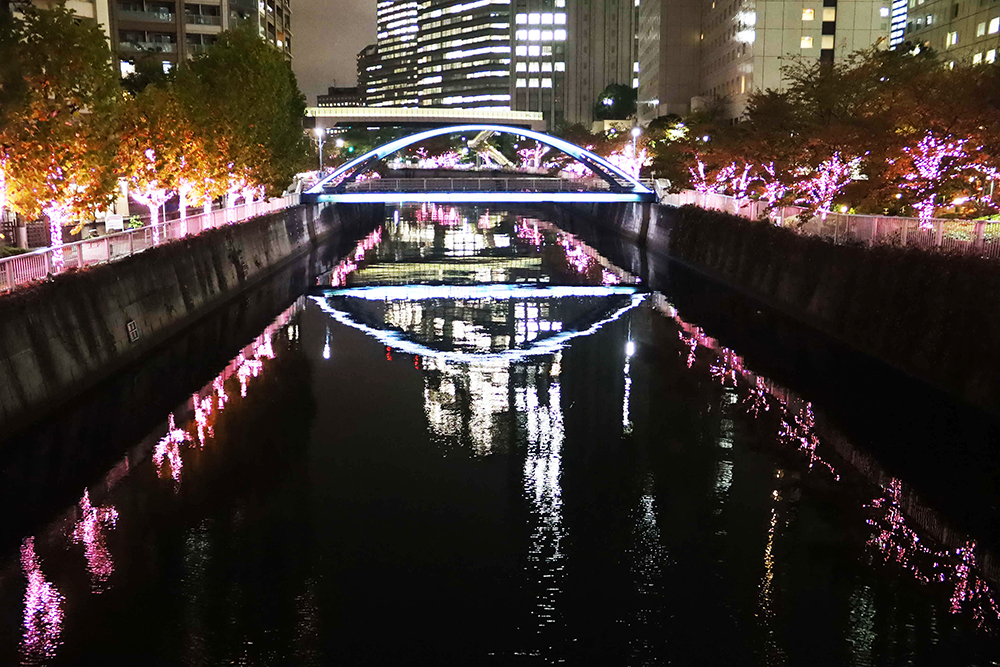 イルミネーションと川面に映る光の画像