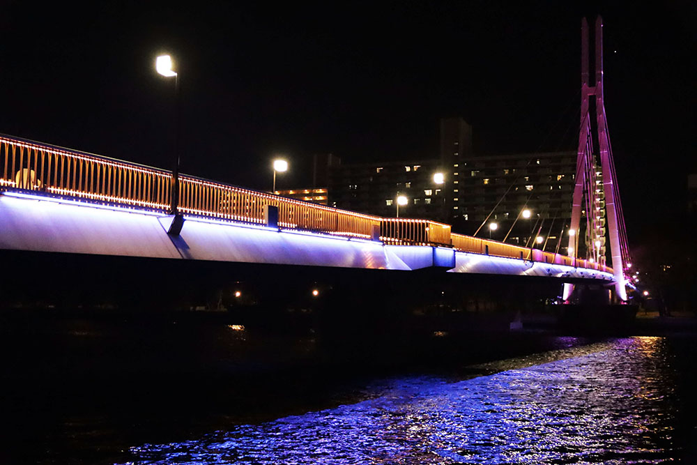 パープルにライトアップされたカモメ橋の画像