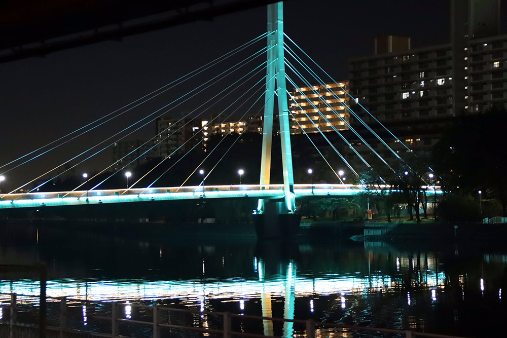 かもめ橋のライトアップの写真