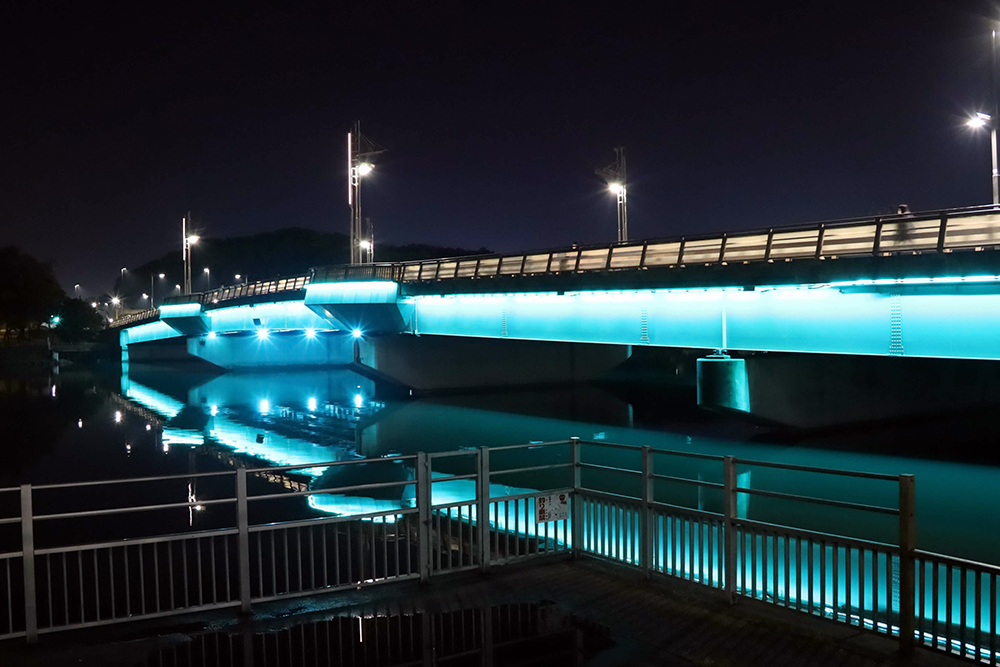 勝島橋のライトアップの写真