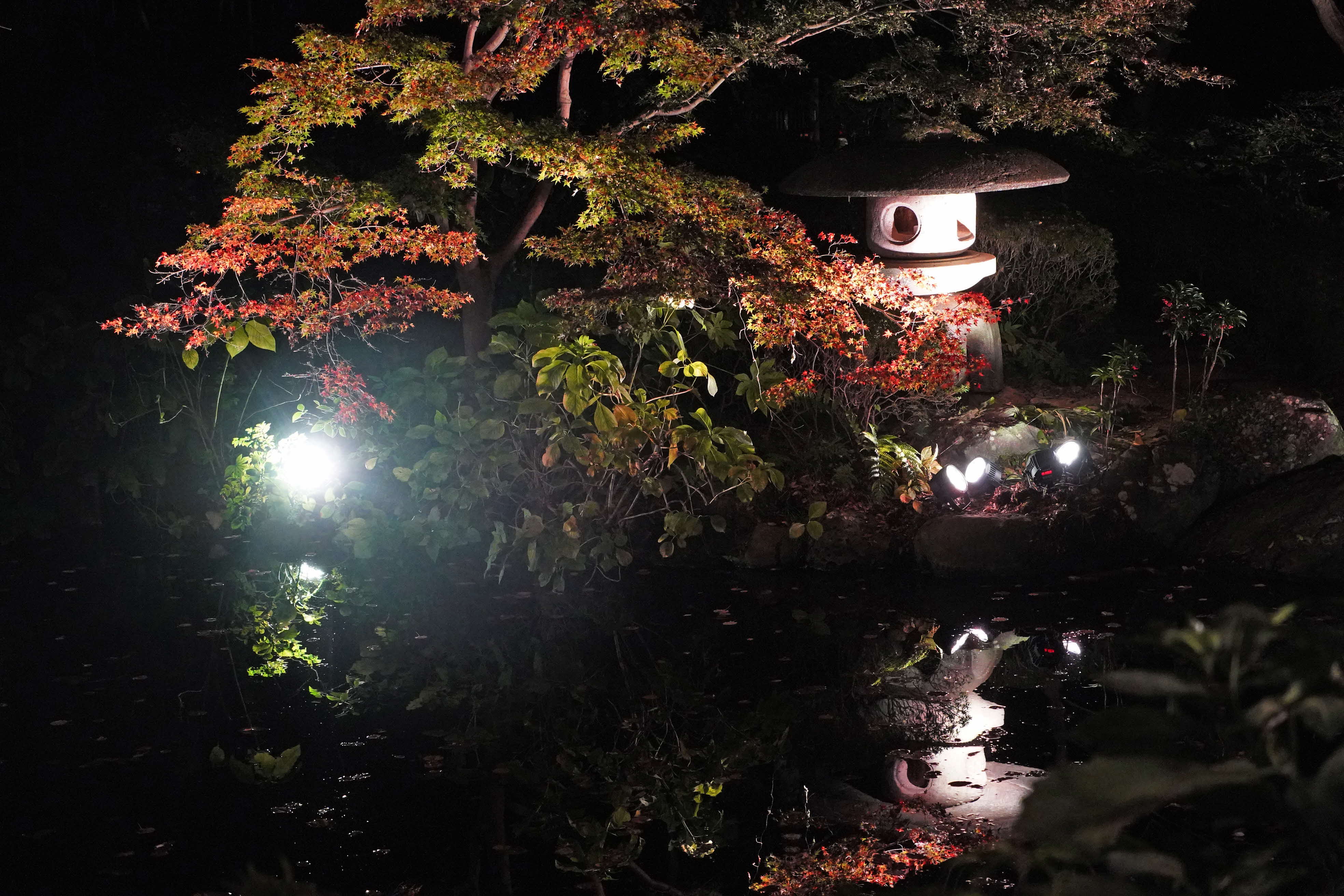 石灯籠と紅葉の写真