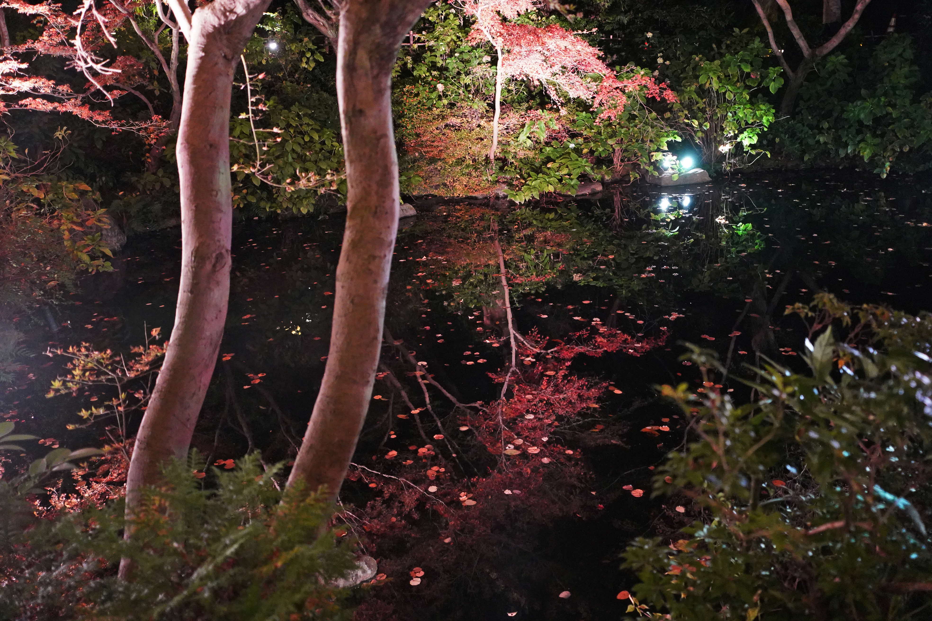 池に映る紅葉の写真