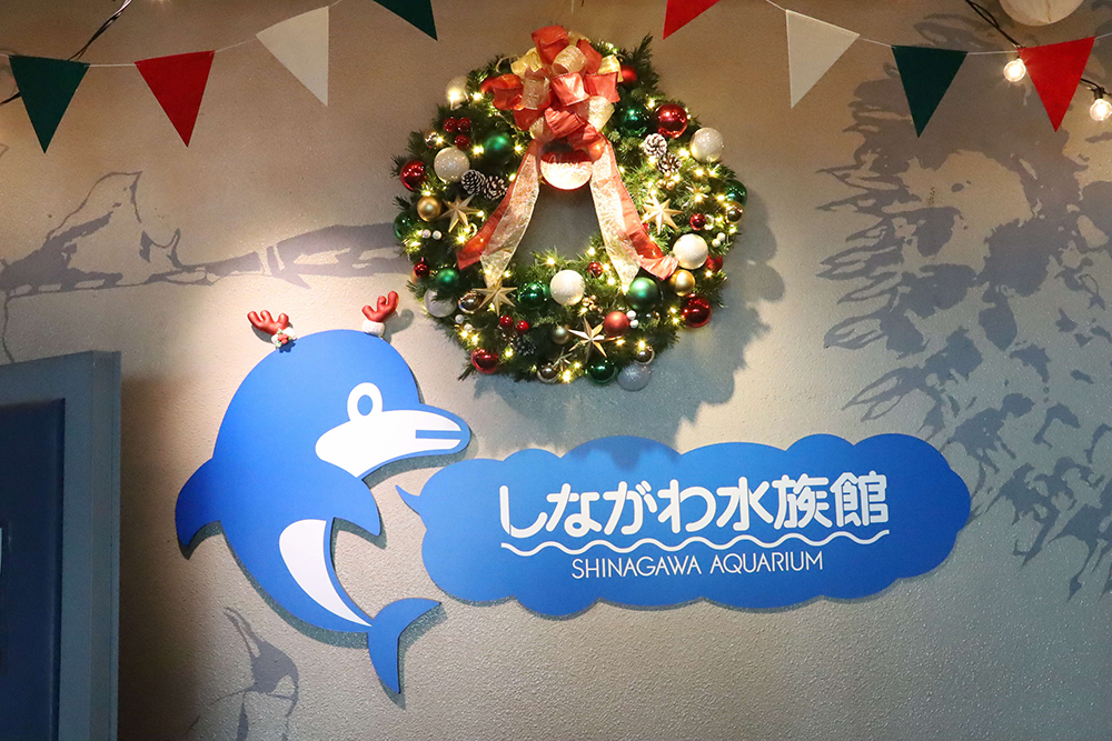 しながわ水族館のクリスマスリースの画像