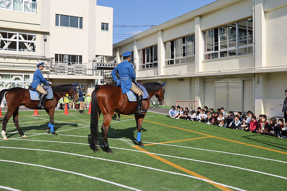 見学している2年生にあいさつするお馬さんたちの画像