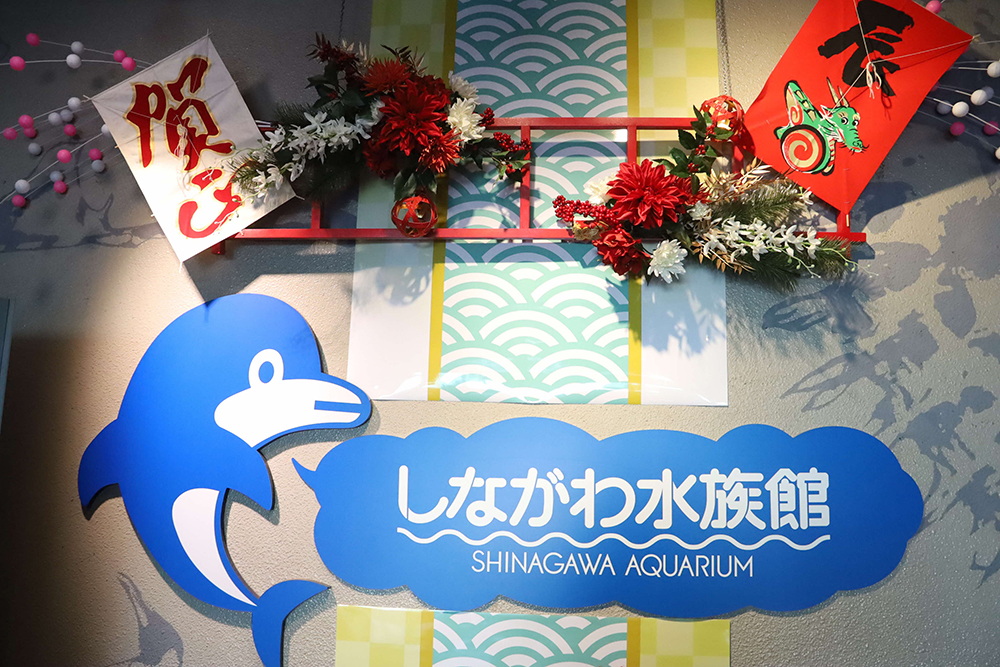 しながわ水族館の入り口に飾られた新年祝賀のオブジェの画像