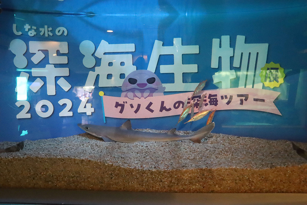 深海生物展の特別水槽の画像