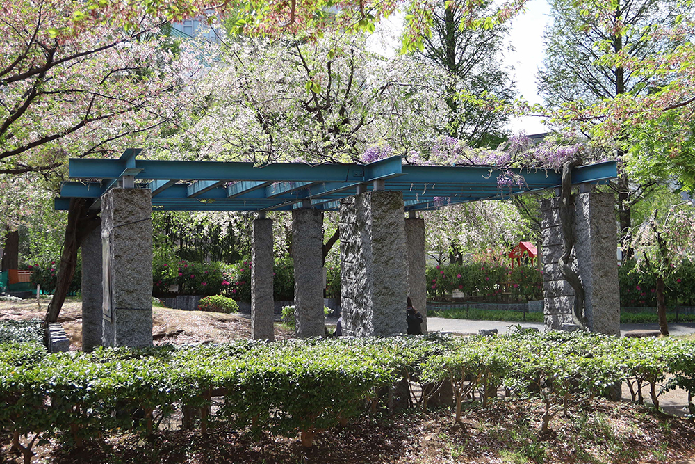 東品川海上公園の藤棚の画像