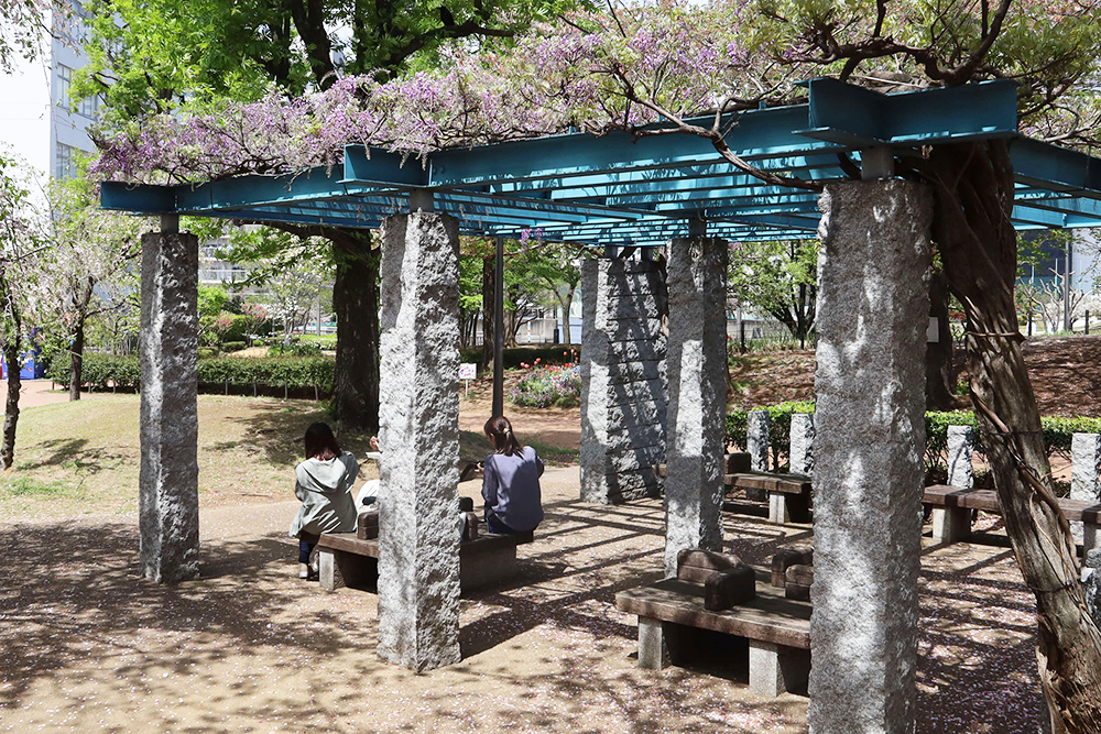 東品川海上公園の藤棚とフジの画像