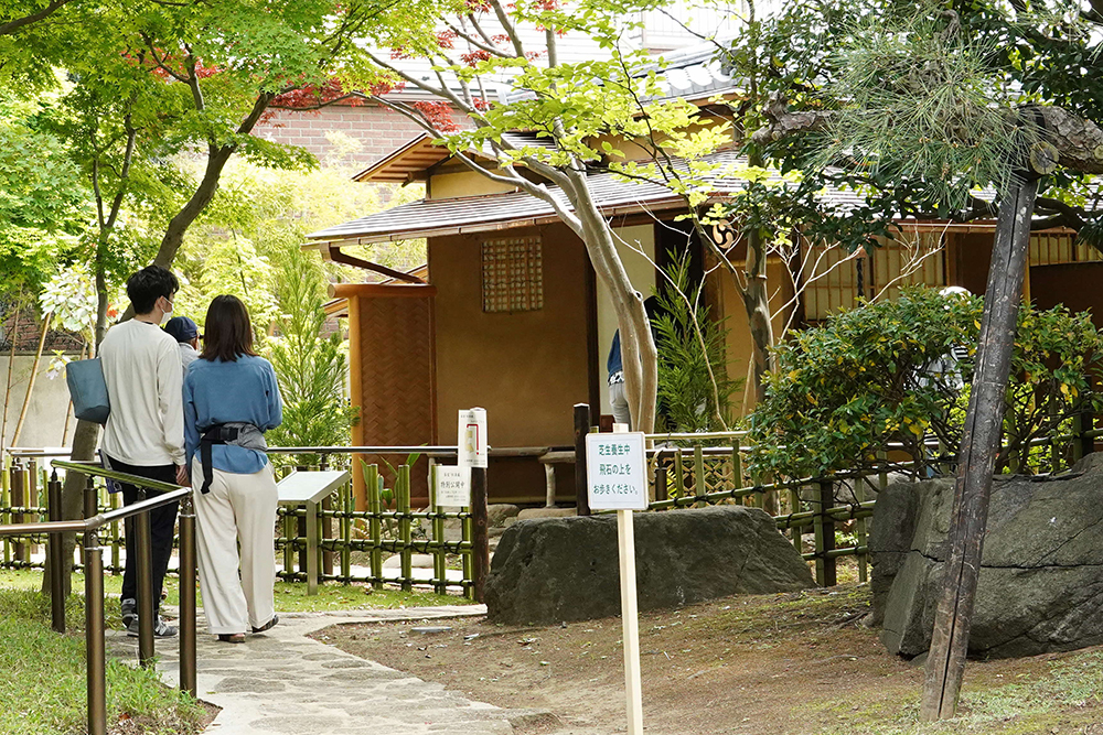 松滴庵の画像