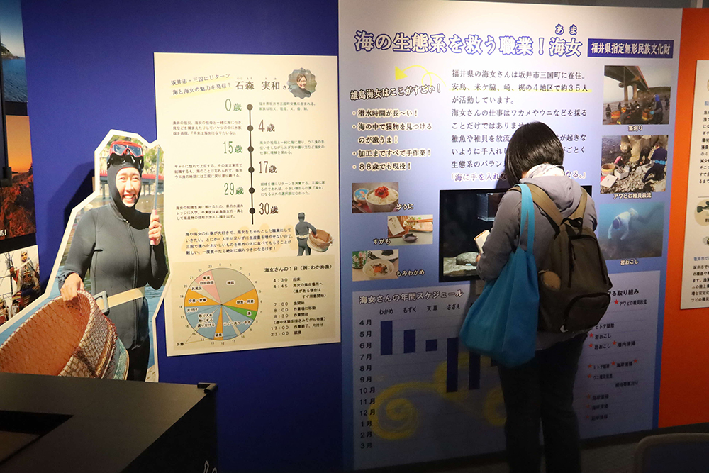 パネルと見学する人の画像