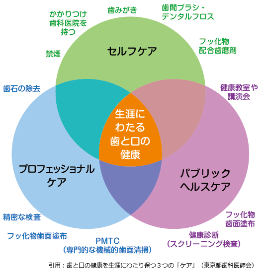 歯と口の健康を生涯にわたり保つ3つのケアの図(セルフケア、プロフェッショナルケア、パブリックヘルスケア)引用:東京都歯科医師会