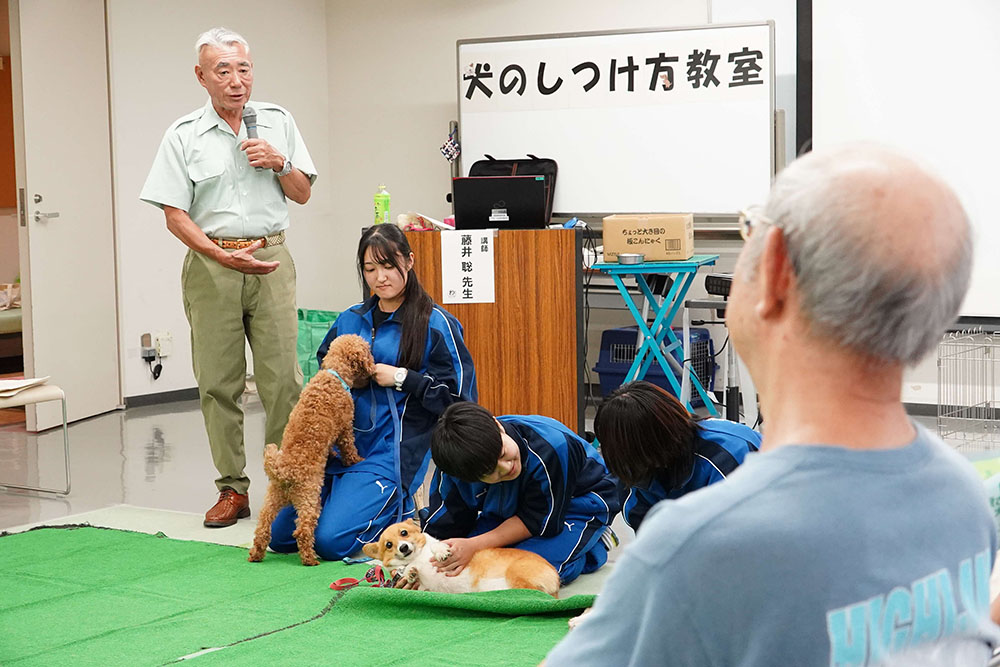 犬のしつけ 見本