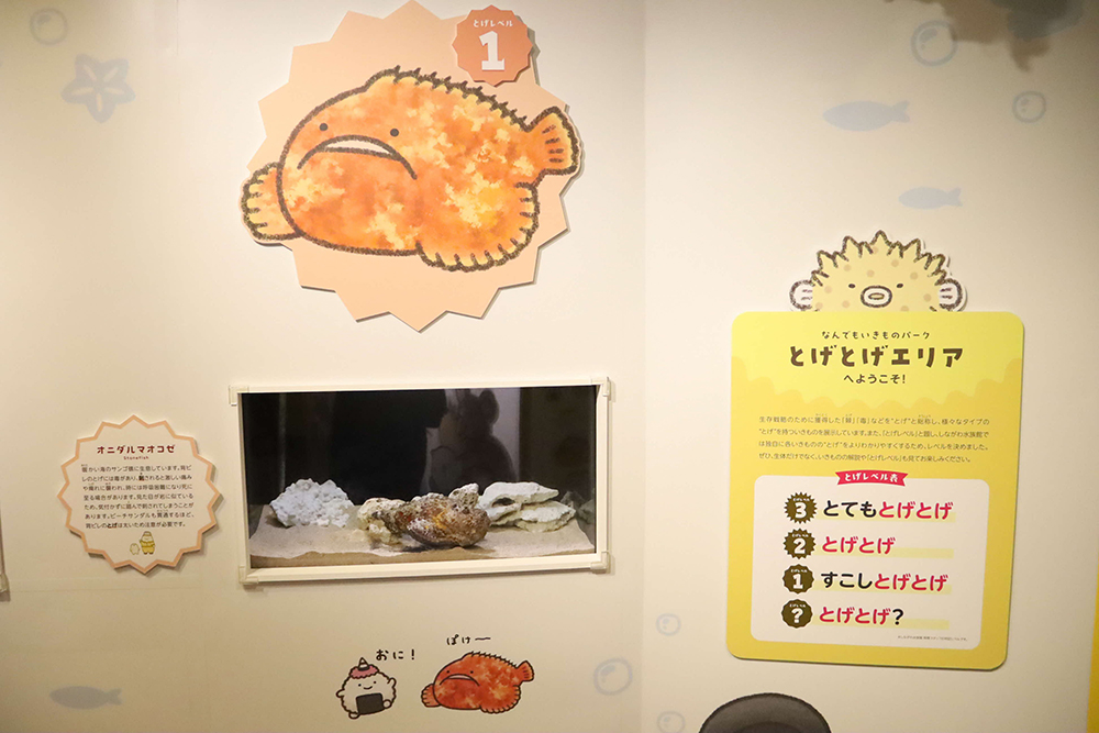 特別に作られたトゲを持つ生き物コーナーの画像