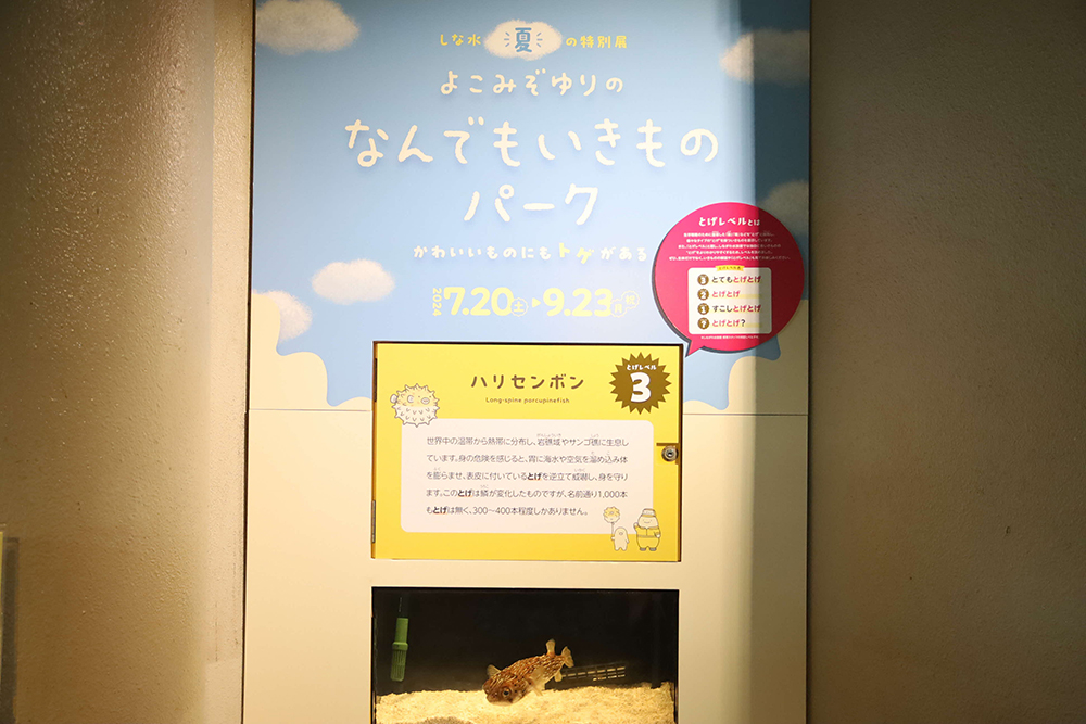 館内入り口の展示コーナーの画像