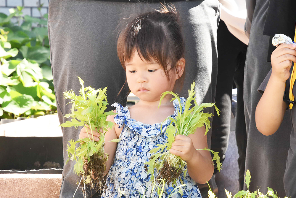 両手いっぱいに小松菜を抱える子どもの画像