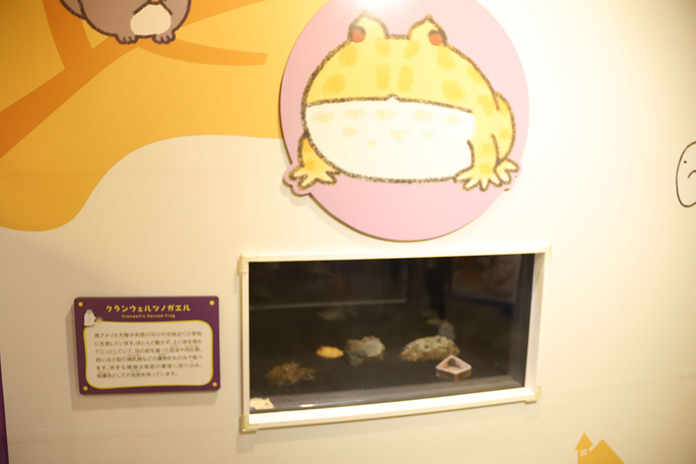 展示と解説パネルの画像