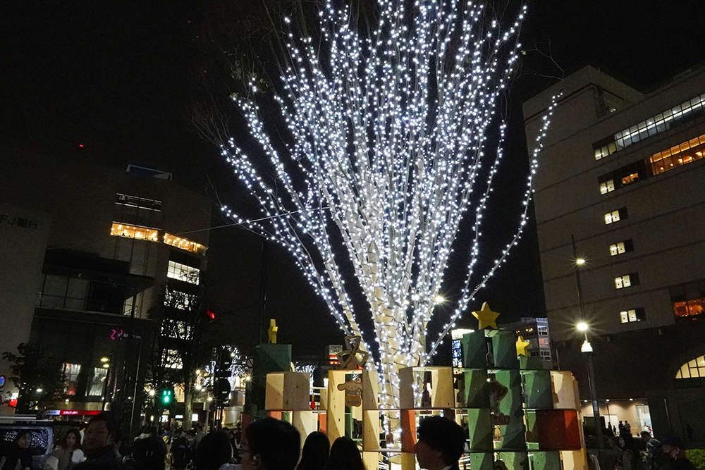 シンボルツリーの写真