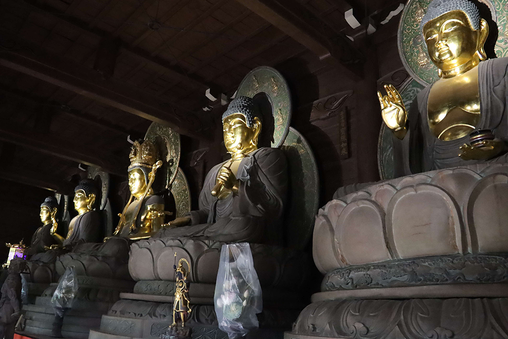 養玉院 木造五智如来坐像の画像