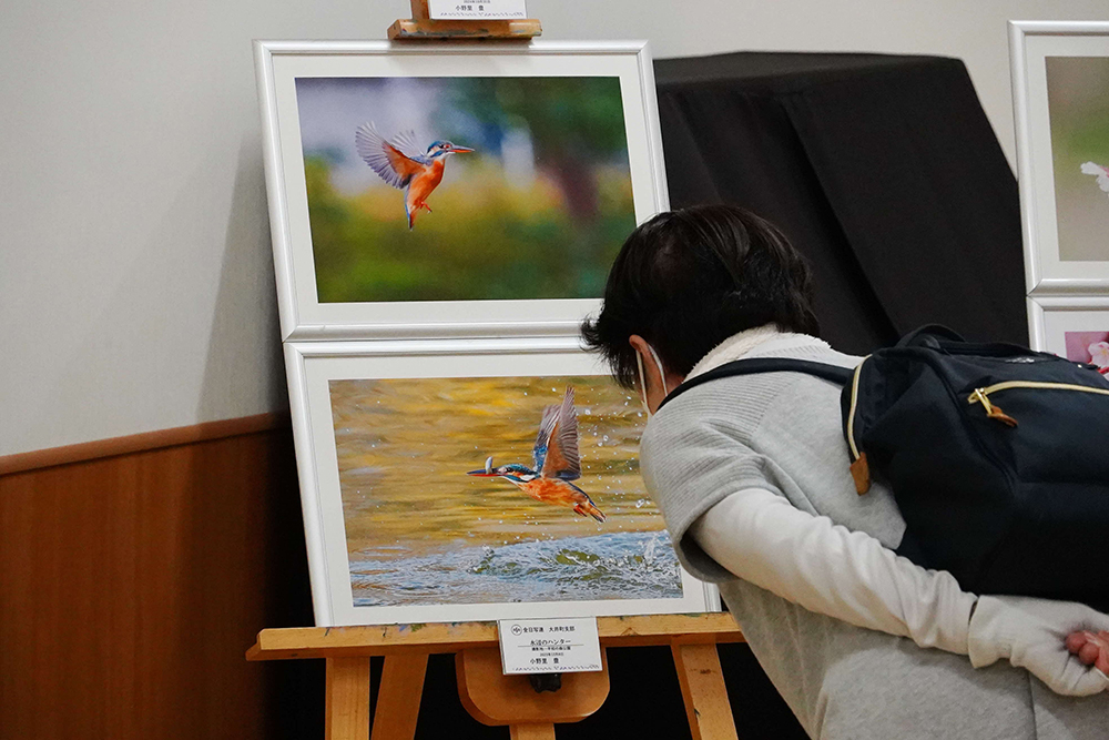 写真展示の様子