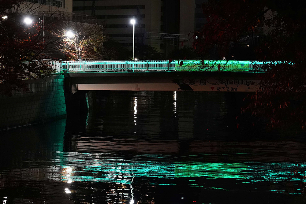 要津橋の写真