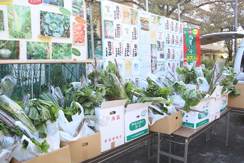 展示されて江戸野菜の画像
