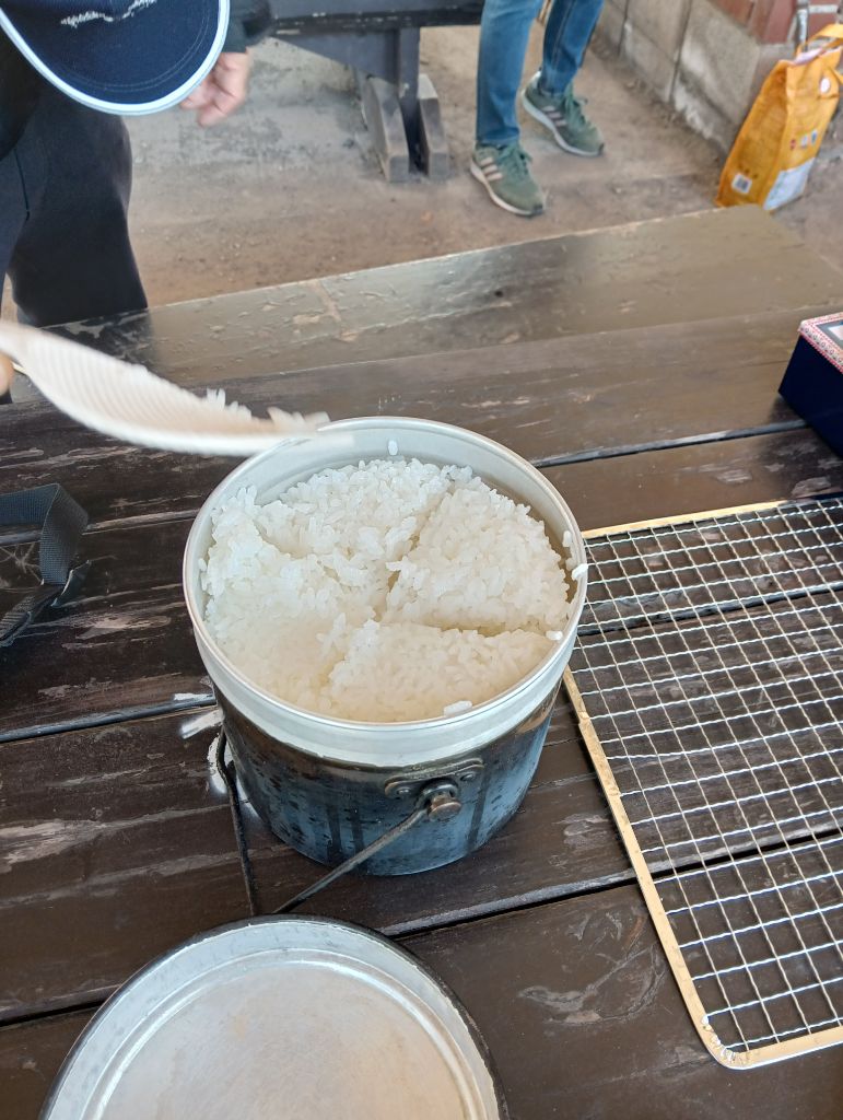 飯盒で炊いたご飯の画像