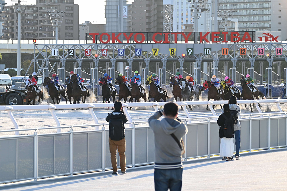 出走する競走馬の画像