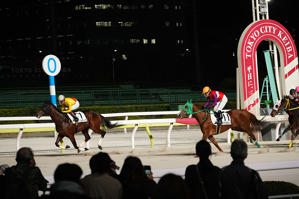 競走馬の画像