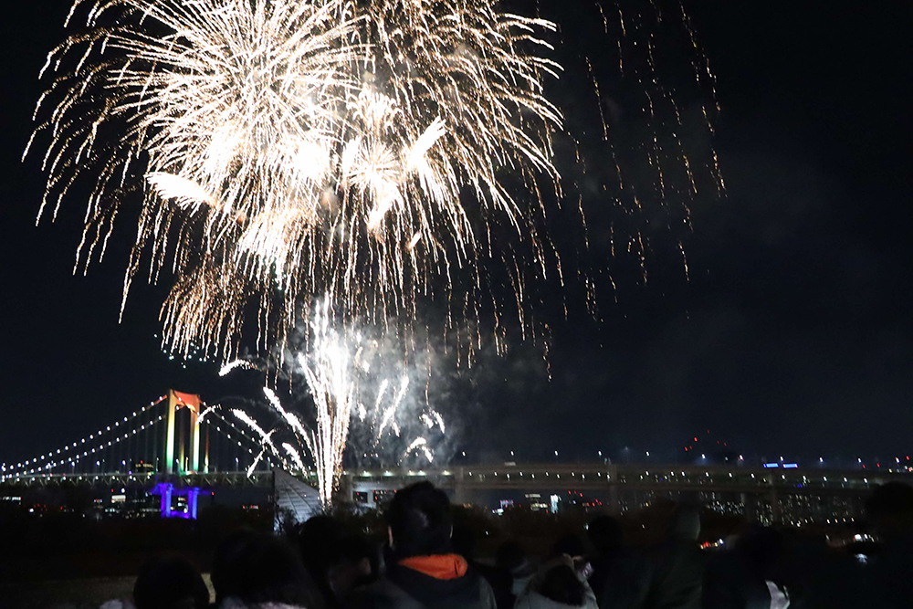 お台場の花火とレインボーブリッジの画像