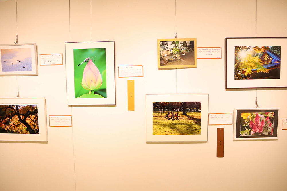 金賞を取った写真部門の作品の画像