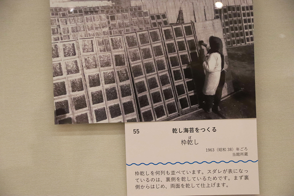海苔づくりの様子の写真の画像
