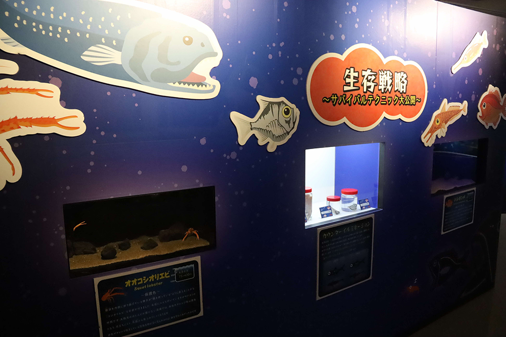 生存戦略エリア広めの画像