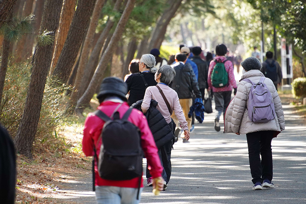 京浜運河緑道講演を歩いている写真