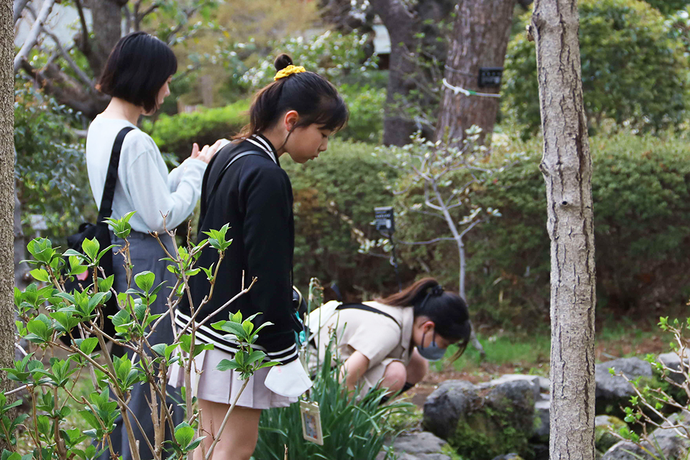 築山を見学する子どもの画像