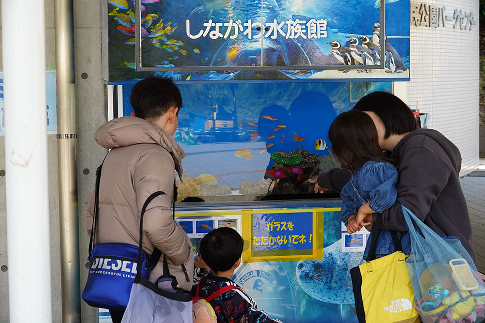 水槽展示の写真