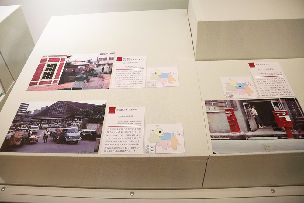 展示品のカラー写真の画像
