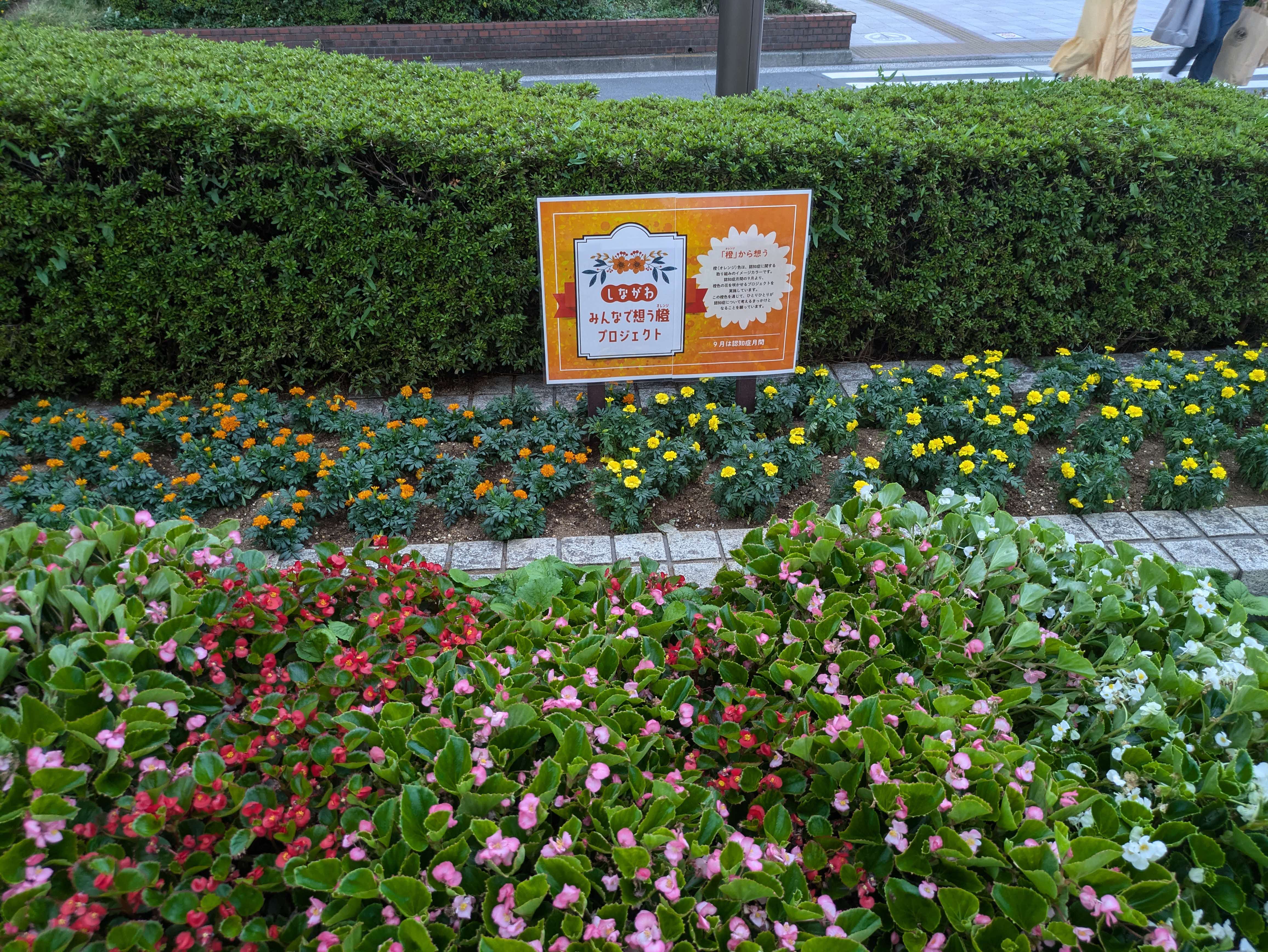 大井町駅前花壇