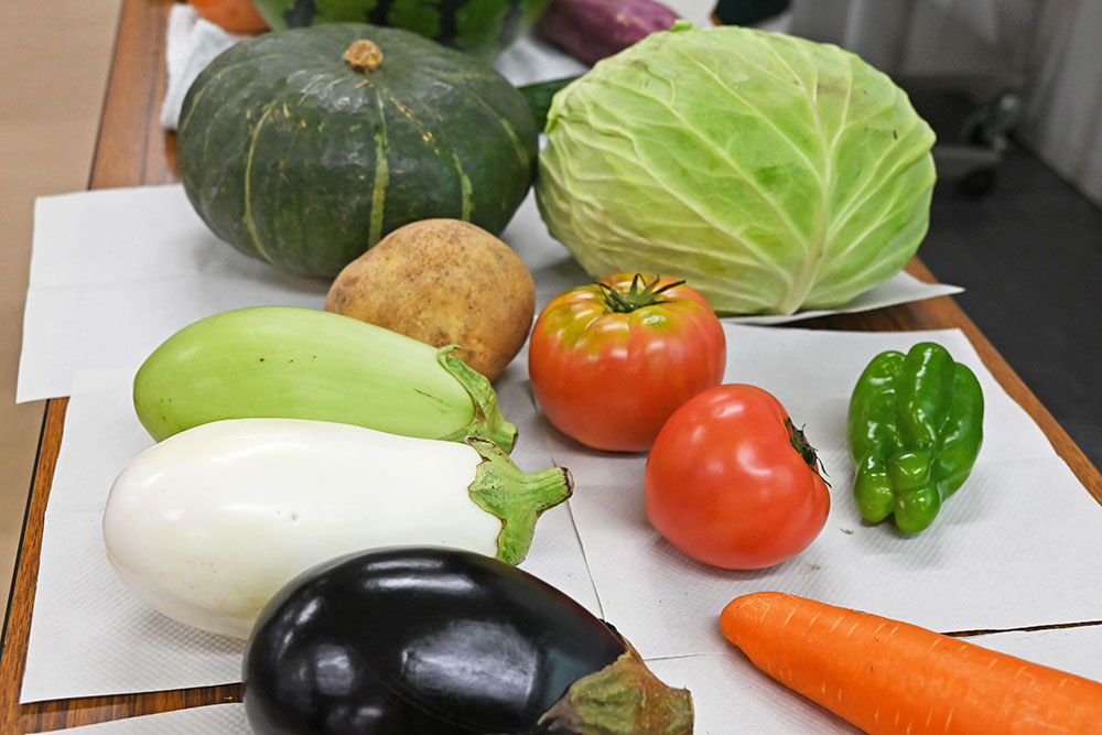 講義で使用された野菜の写真