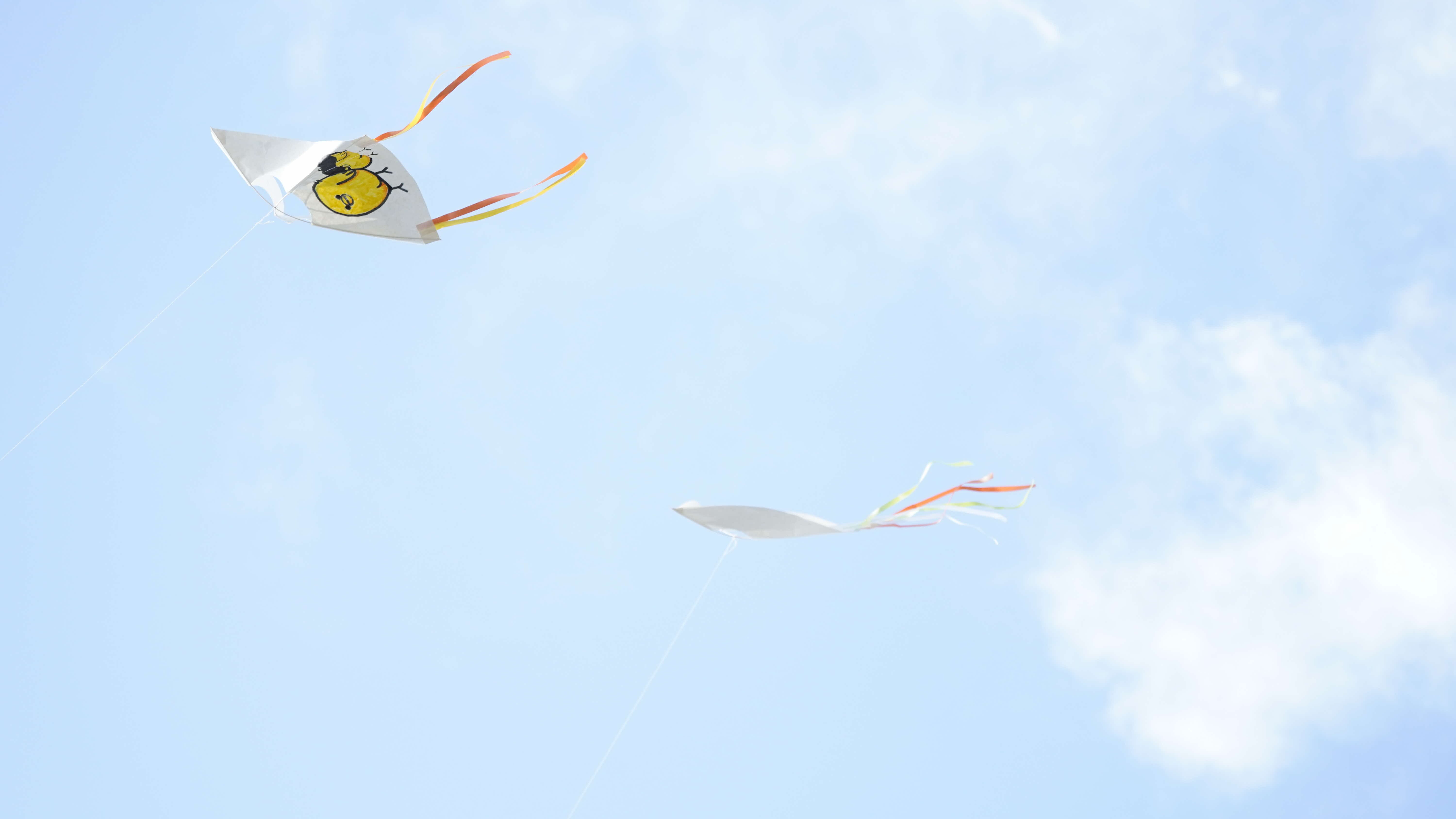 空を舞うたこの写真