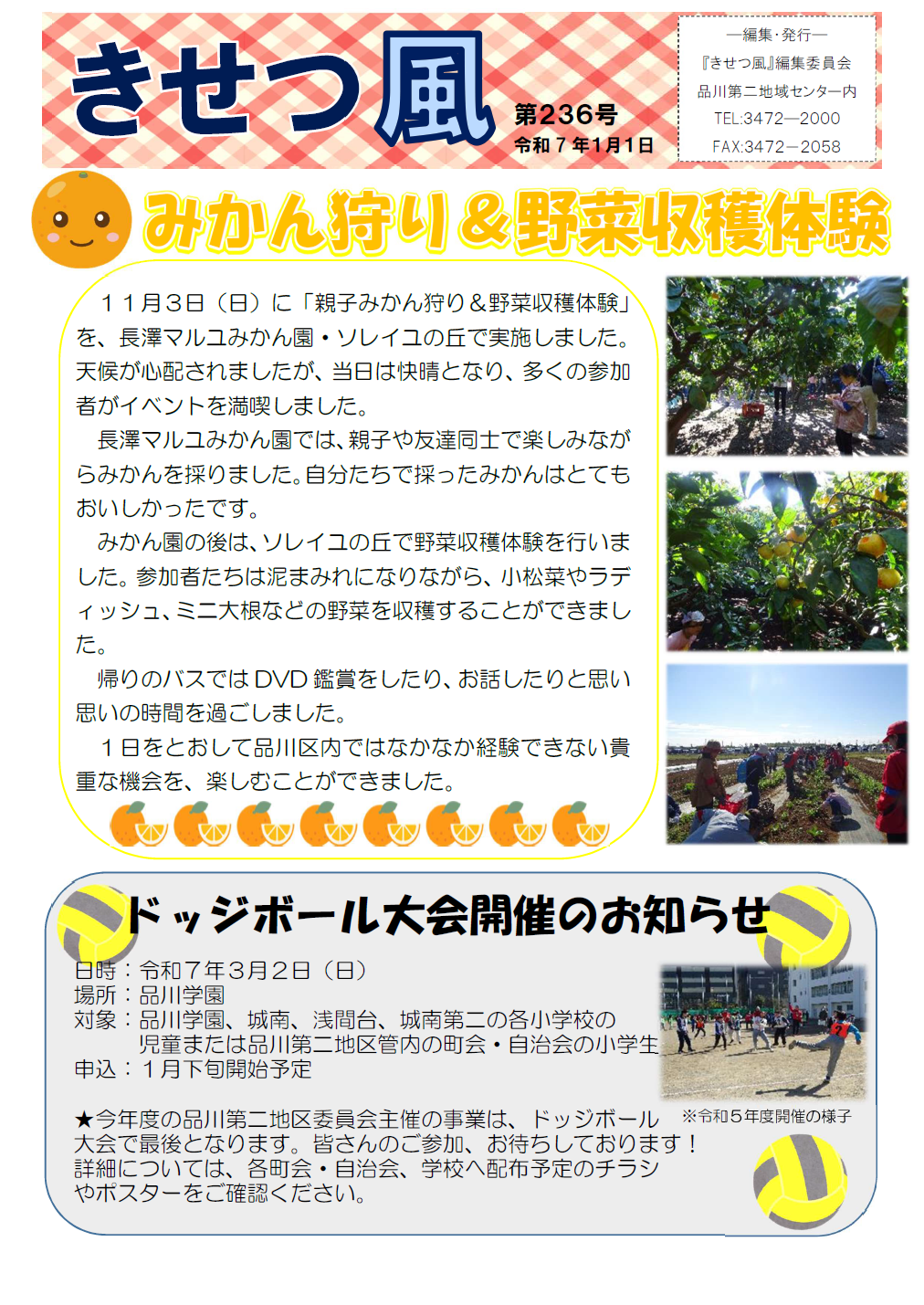 みかん狩り&野菜収穫体験とドッジボール大会開催のお知らせ