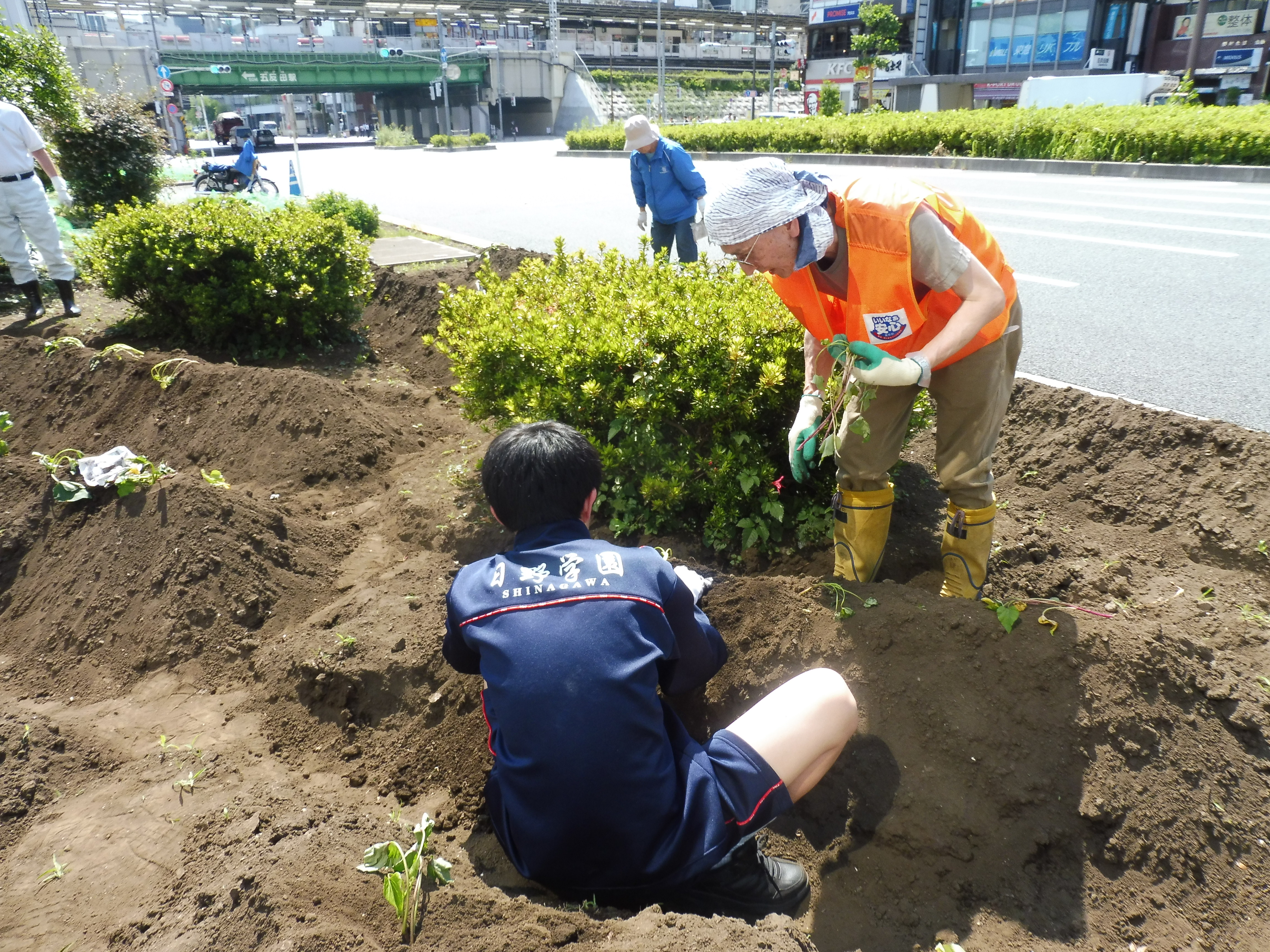 苗を植える生徒１