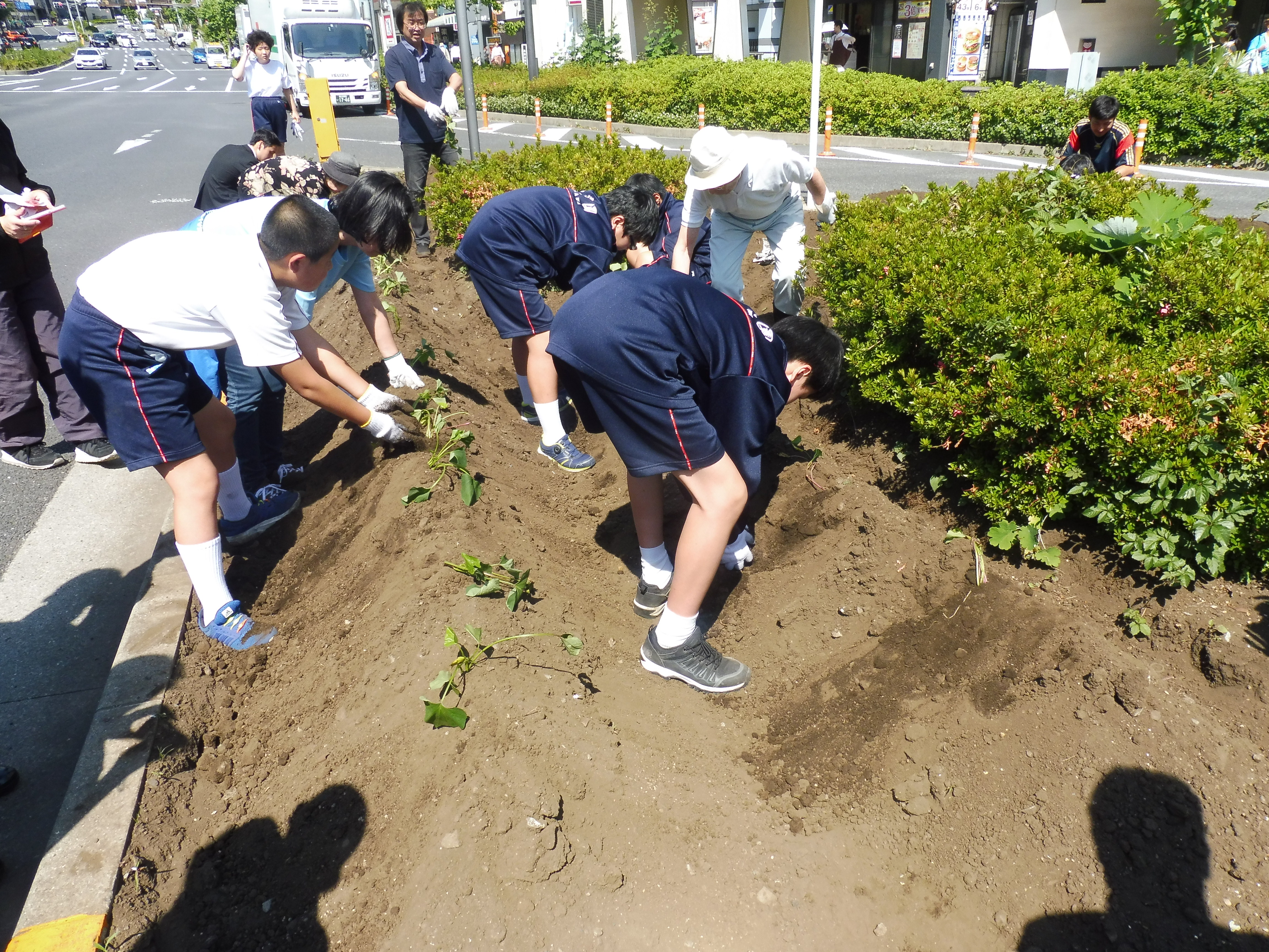 苗を植える生徒2