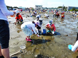 潮干狩りを楽しむ参加者