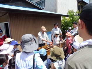 海苔作りを楽しむ参加者