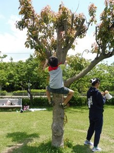 公園で遊ぶ子どもたち