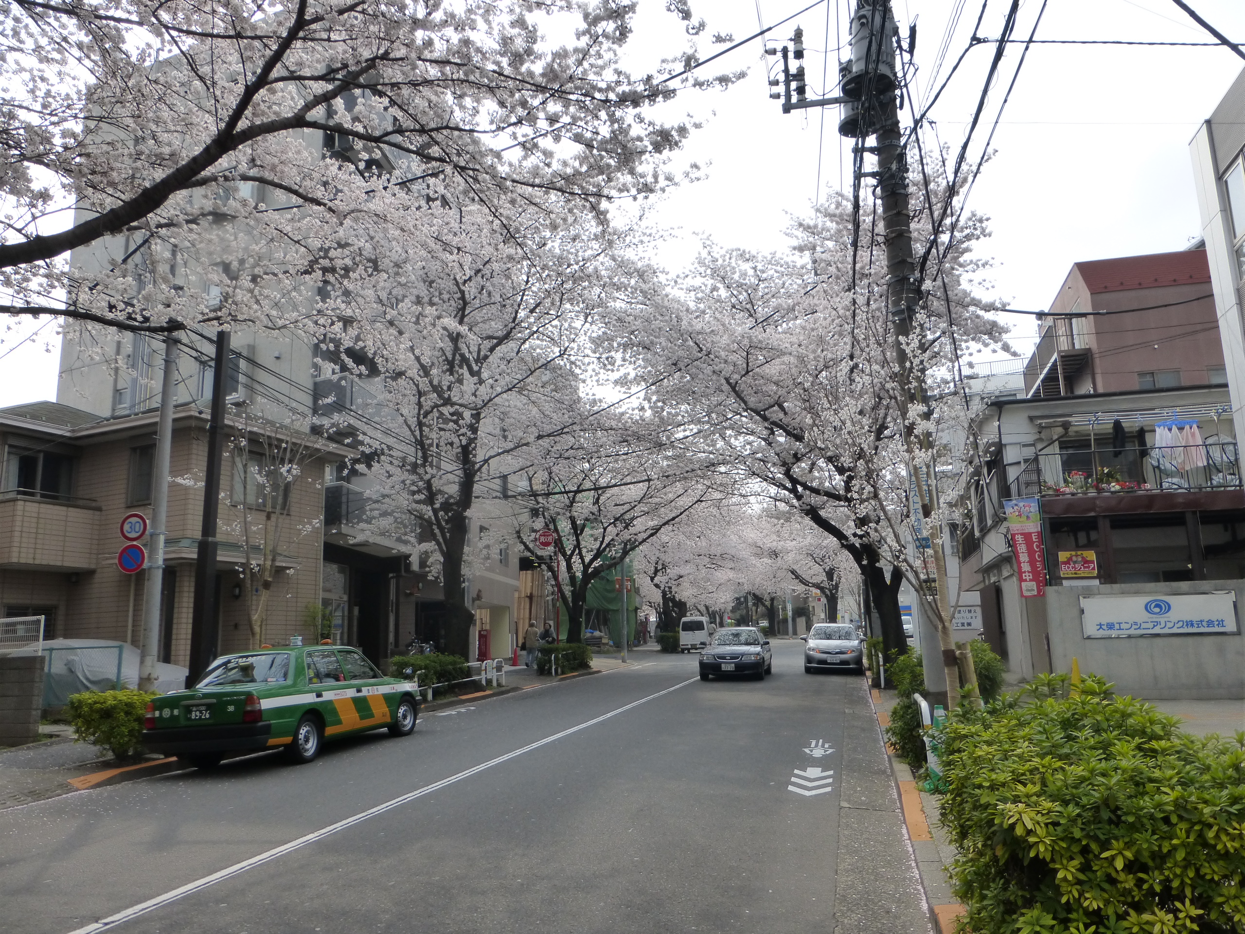 かむろ坂の風景